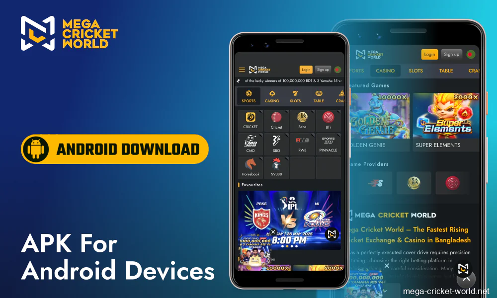 Mega Cricket World APK installation guide for Android devices