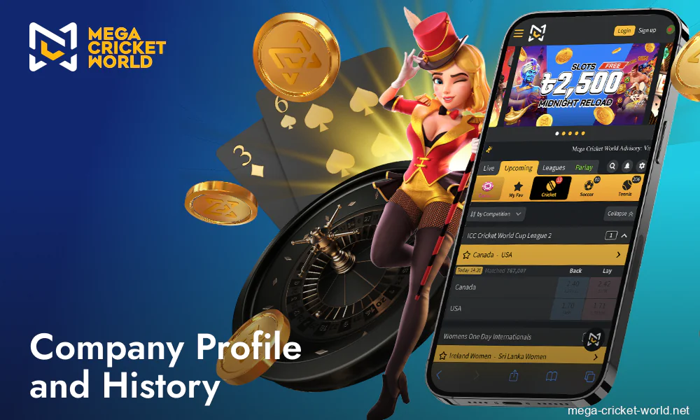 Mega Cricket World company background